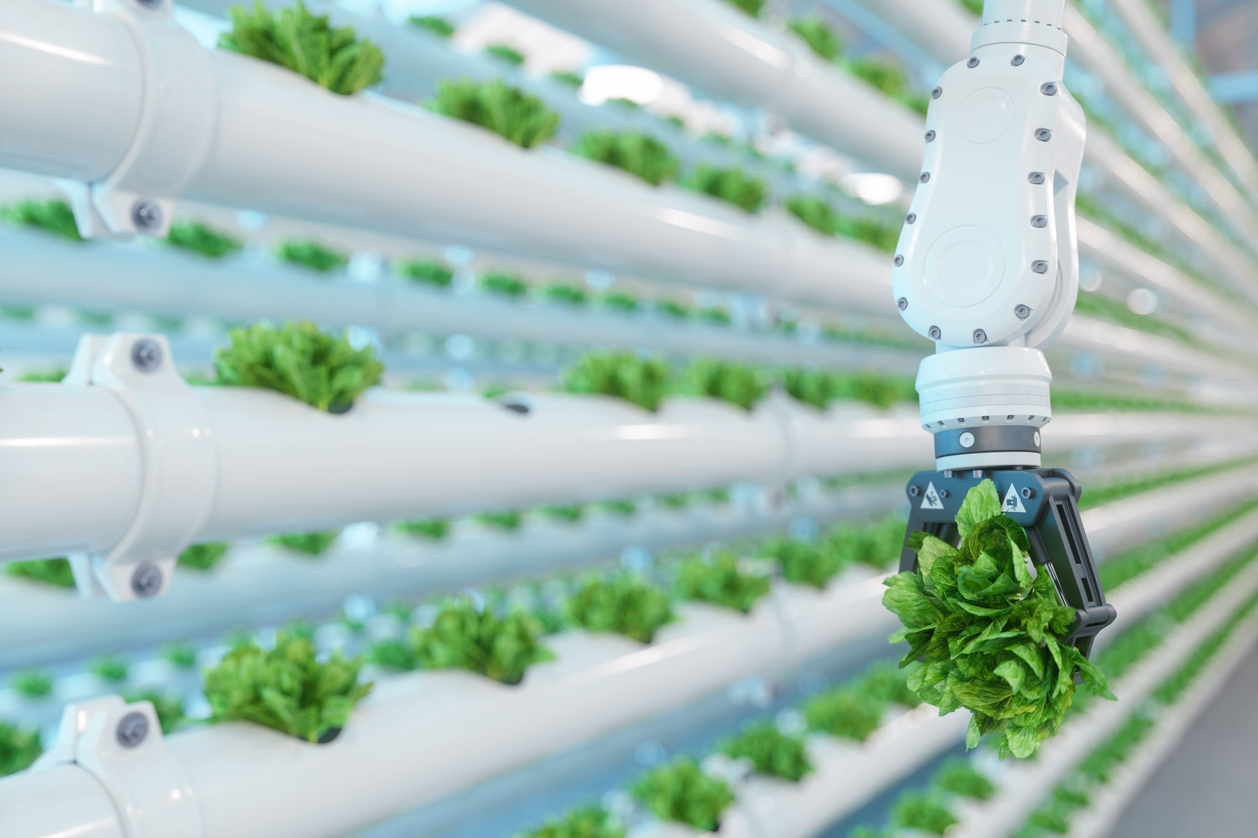 Tech: How tech is helping to deliver the farming of the future