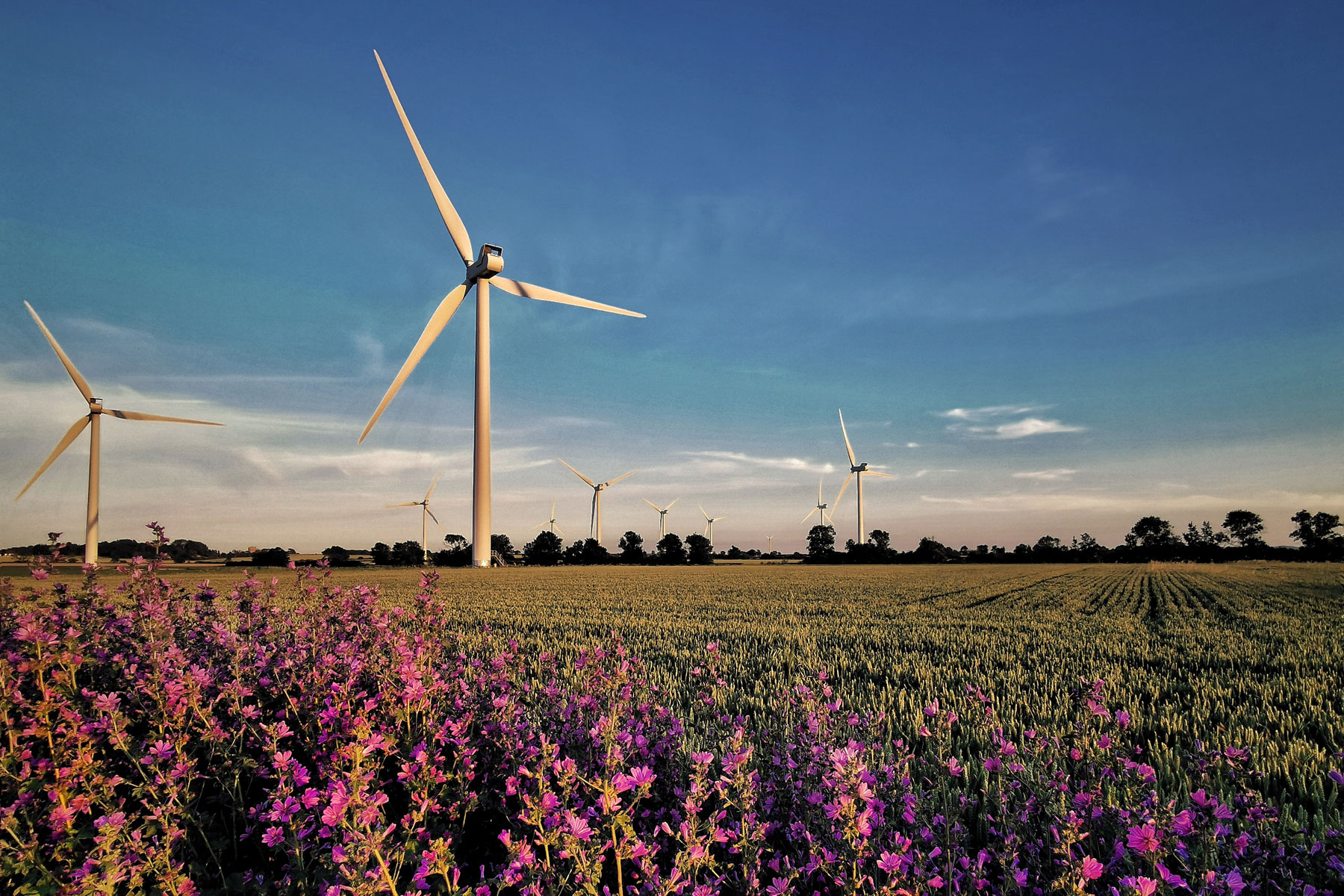 Michelmores advises Triodos Bank UK on £10 Million investment in Thrive Renewables