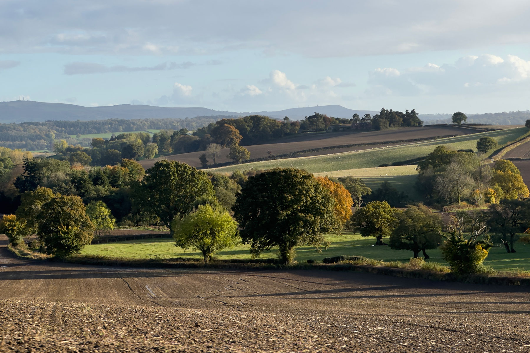 Succession Applications: What makes a ‘suitable’ applicant?