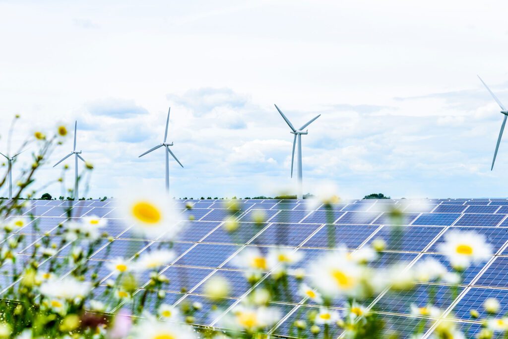 Day view solar panel system installed on UK field.