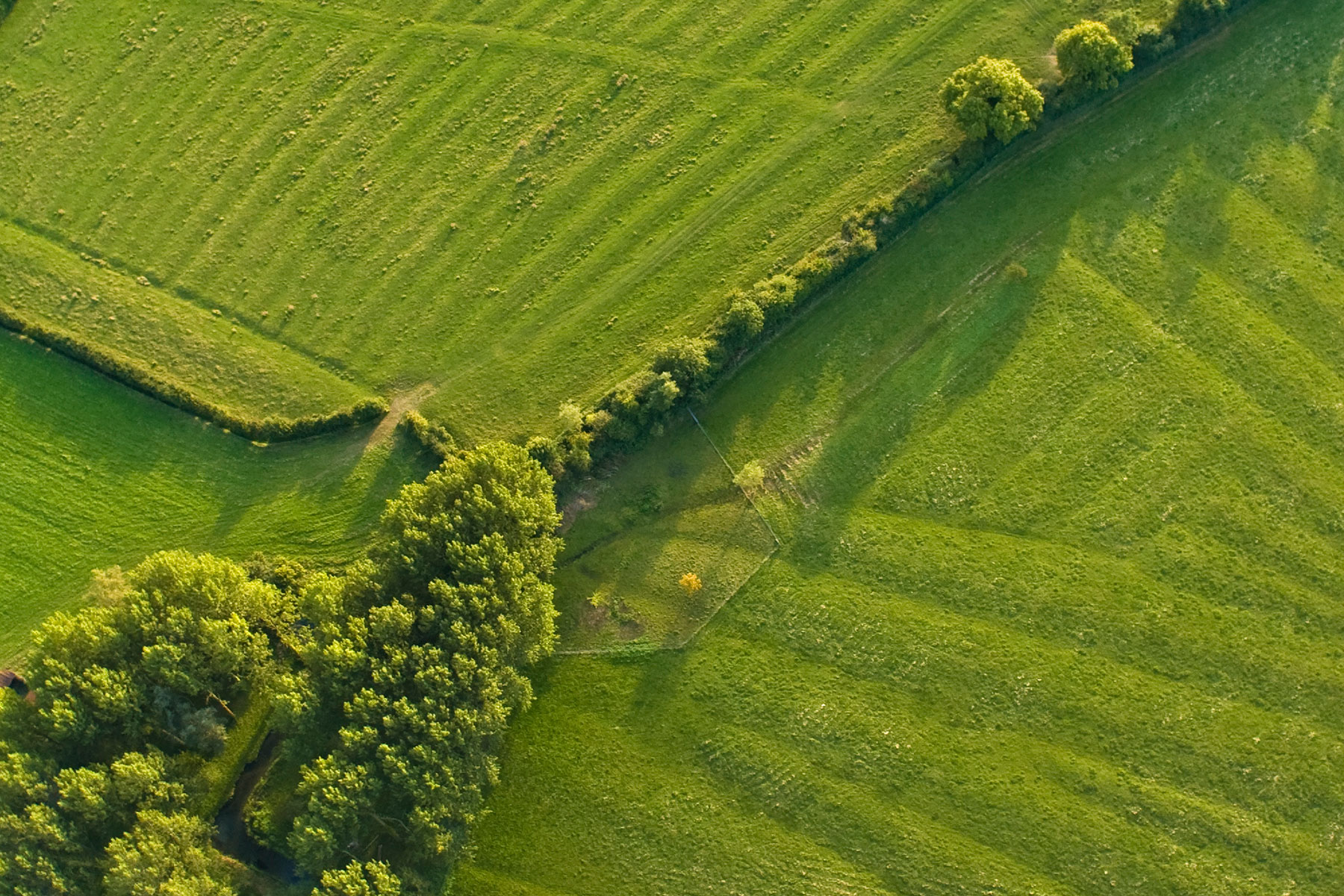Aerial abstract, woodland and pasture
