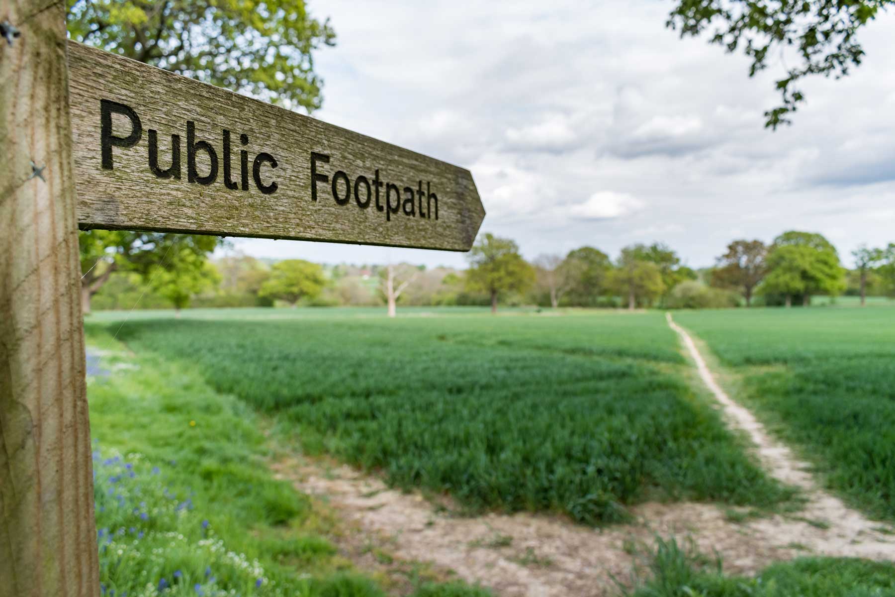 Right of way path