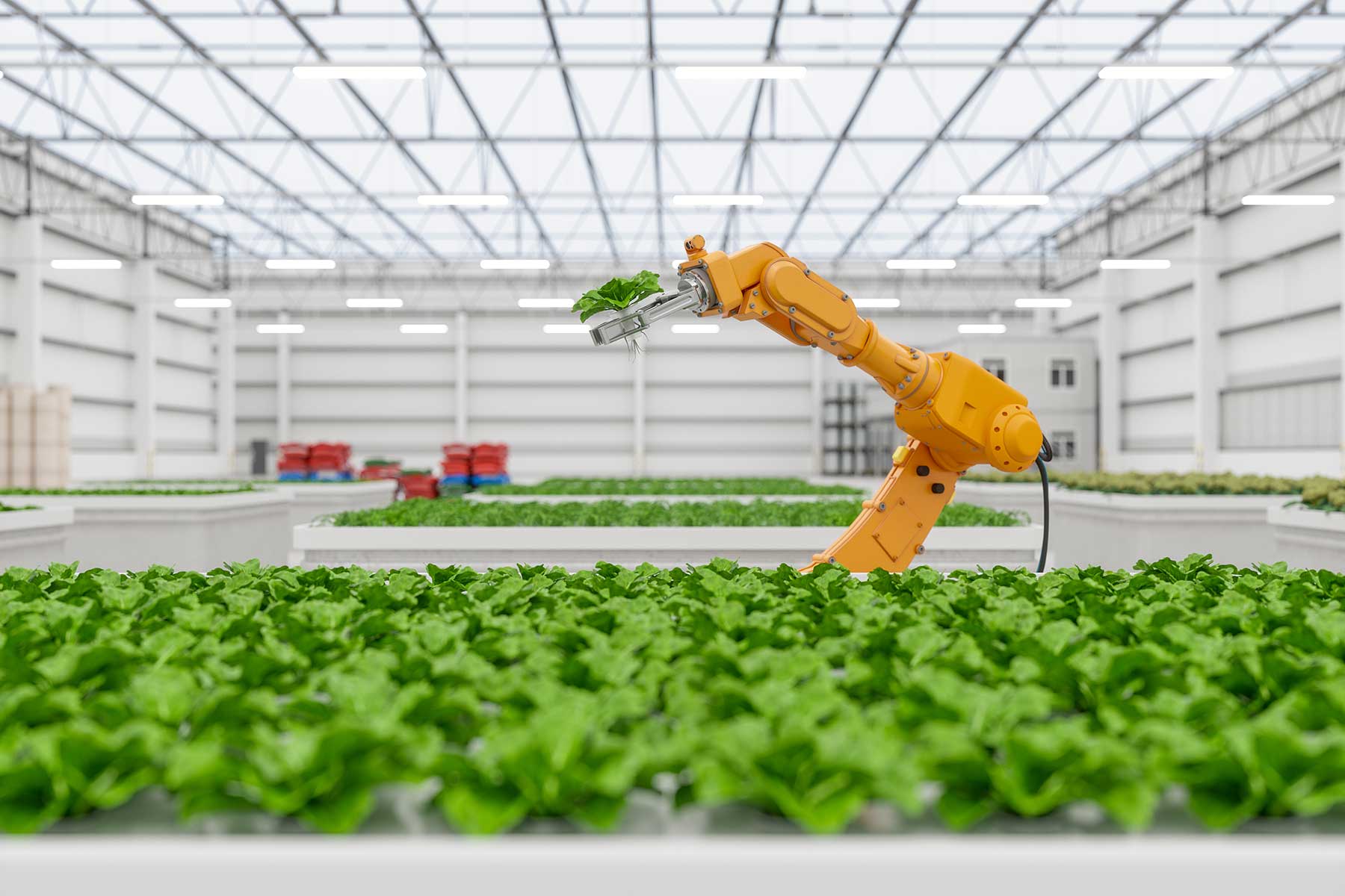 Machine and crops