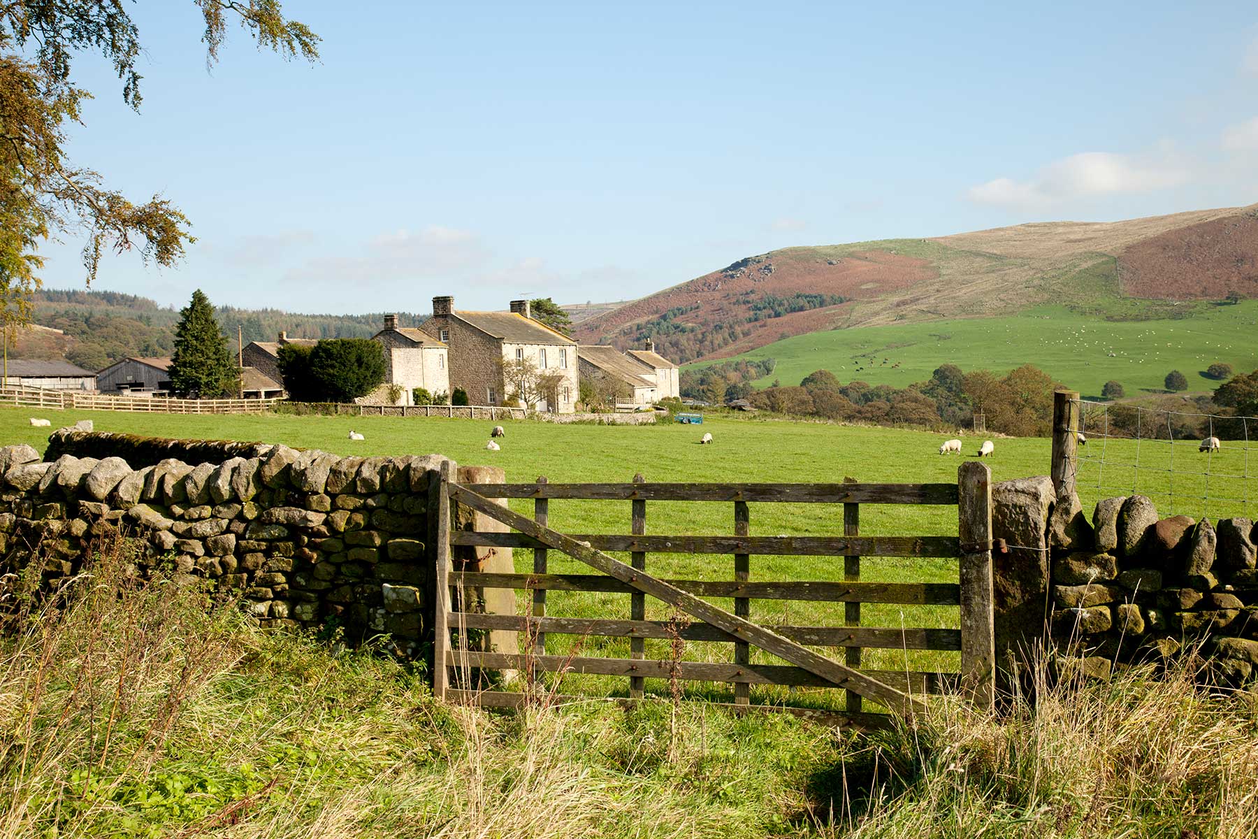 Yorkshire Farm