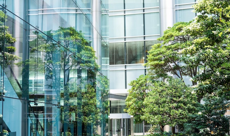 Michelmores shortlisted in Citywealth’s 2017 Magic Circle Awards