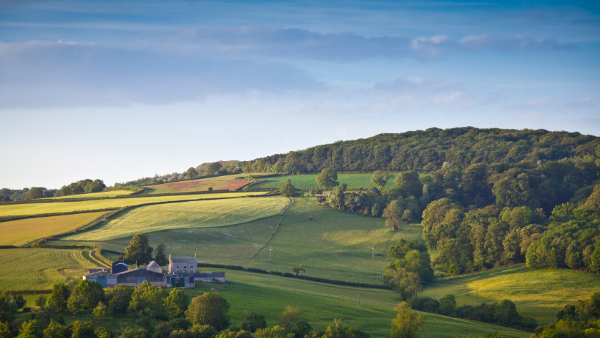 Proprietary Estoppel: Habberfield and Guest confirm the direction of the Courts