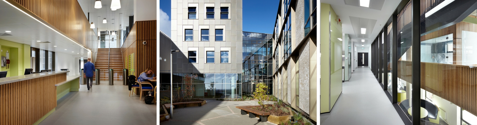 The Living Systems Institute, University of Exeter wins Building of the Year