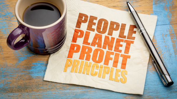 Sustainability management system: The Triple Bottom Line: What is the Triple Bottom Line?