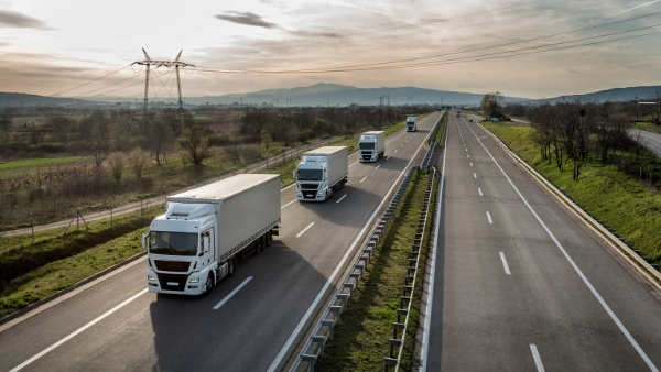 Coronavirus: impact on international supply chains and trade