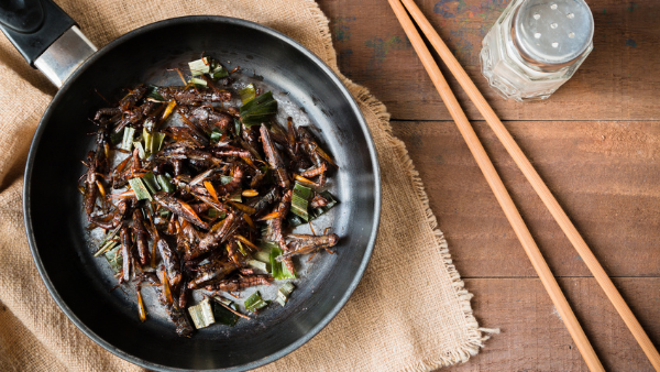 Food Standards Agency Confirms Edible Insects Can Once Again be Placed on the GB Market