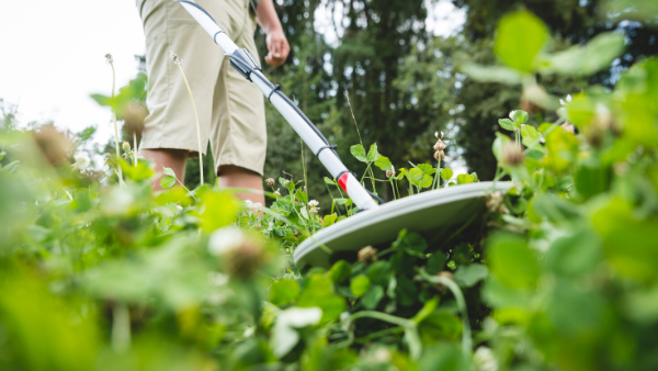 Learning the Law: Metal Detecting in the spotlight