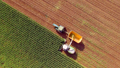 A seat in Agriculture at Michelmores