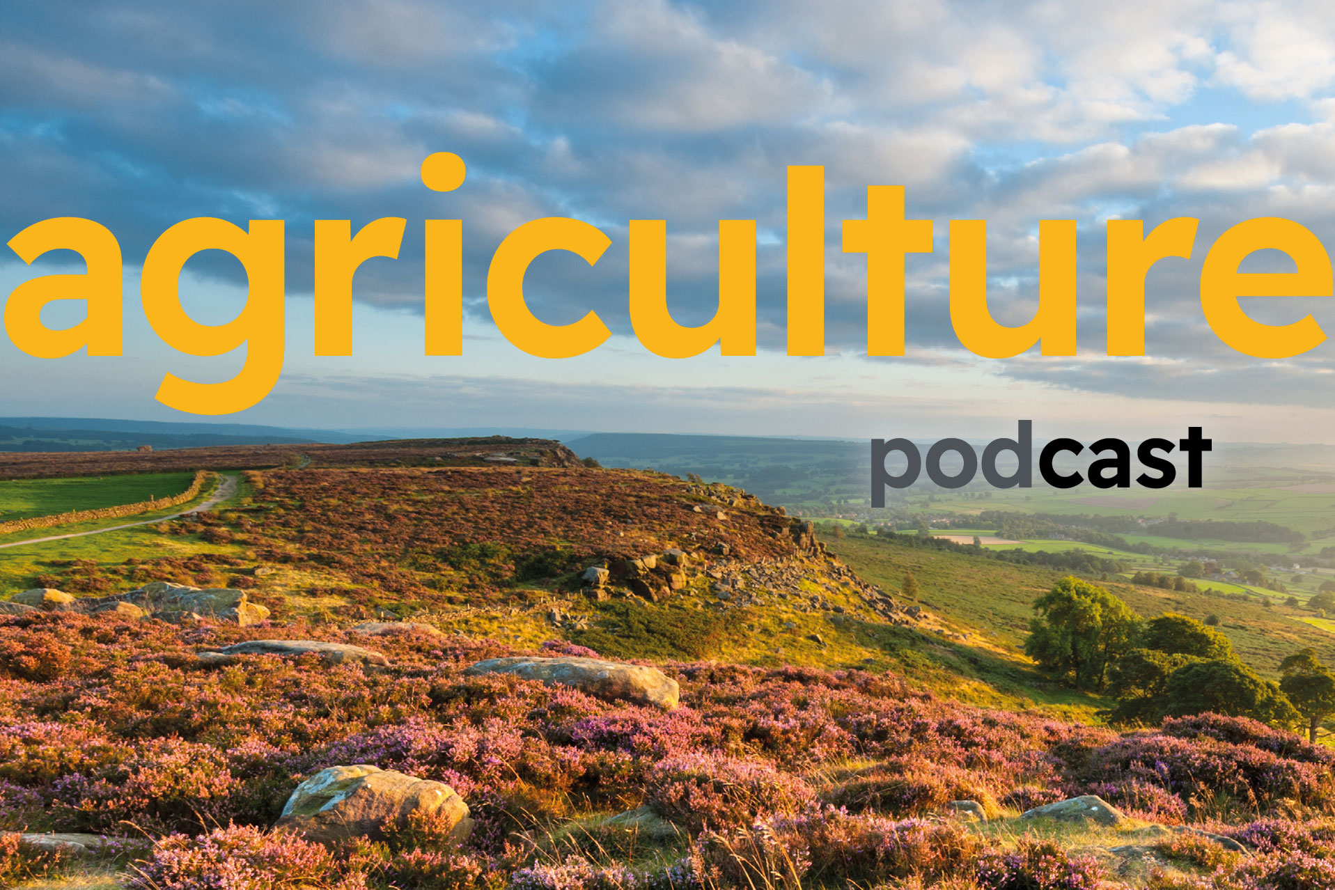 Farm business tenancies: the natural capital conundrum